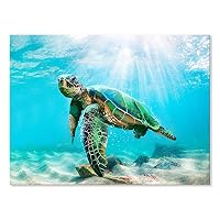 カラフルなウミガメの原画　キャンバス　絵画　現代アート　ハワイ　動物画　海 51iF+8YA9KL._SS200_.jpg